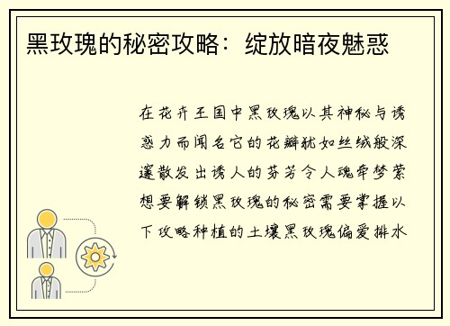 黑玫瑰的秘密攻略：绽放暗夜魅惑